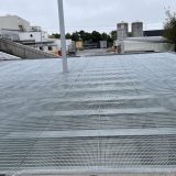 Webforge Locker Animal Flooring L203MPG-Insti at Alliance Nelson-Aniseed Eng