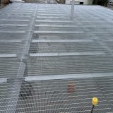 Webforge Locker Animal Flooring L203MPG-Insti at Alliance Nelson-Aniseed Eng