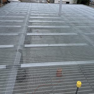 Webforge Locker Animal Flooring L203MPG-Insti at Alliance Nelson-Aniseed Eng